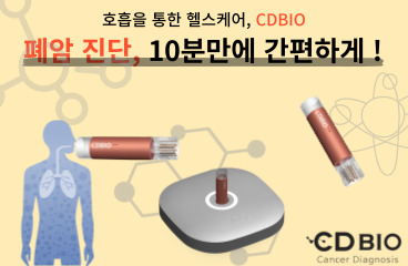 원더랜드